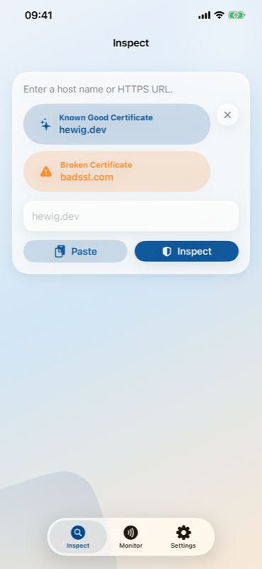 Inspect tab showing host input and recent lookups